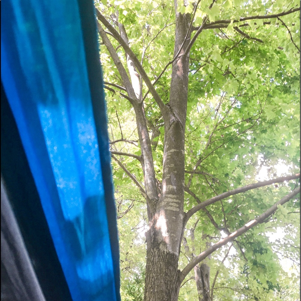 Meet your Posher, Chelsea